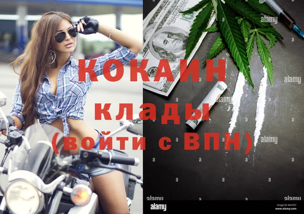 дмт Алзамай